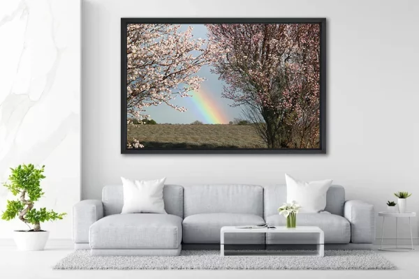 Arc en Ciel et Amandiers en fleurs - 100 x 150 - in Situ - Provence - Salvatore Alario - Apaloosa.fr - Arbre