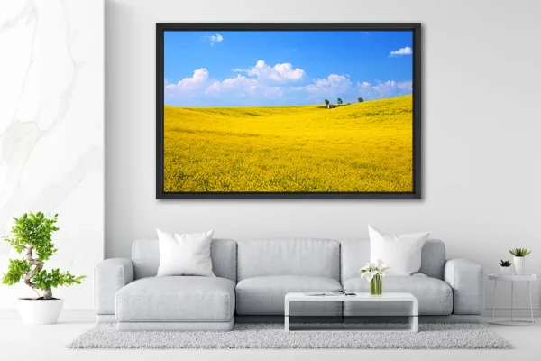Cabanon et Colza - 120 x 180 - in Situ - Provence - Salvatore Alario - Apaloosa.fr - Paysage