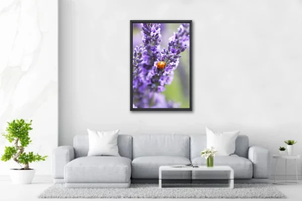 Lavandes et Coccinelle - 80x120 - in situ -Provence - Salvatore Alario - Apaloosa.fr - Coccinelle