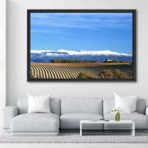 Masure, Lavandes et montagne enneigée - 120x180 - in Situ - Provence - Salvatore Alario - Apaloosa.fr - Cabanon