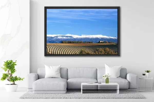 Masure, Lavandes et montagne enneigée - 120x180 - in Situ - Provence - Salvatore Alario - Apaloosa.fr - Cabanon