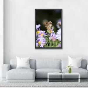 Papillon et Fleurs mauves - 80x120 - in Situ - Provence - Salvatore Alario - Apaloosa.fr - Papillon