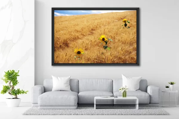 Trois Tournesols - 120x180 - in Situ - Provence - Salvatore - Apaloosa.fr - Tournesol